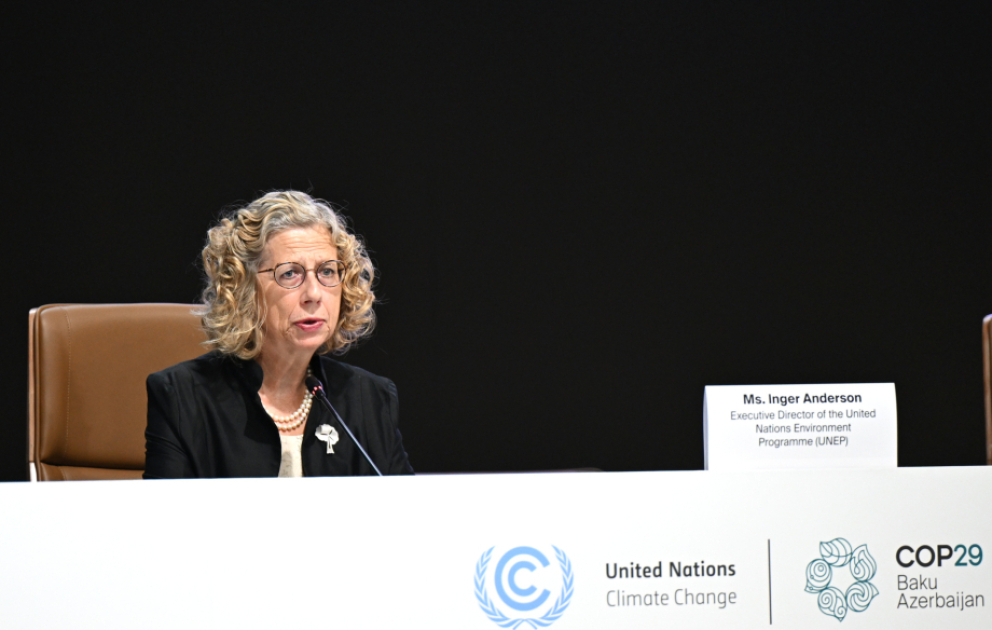UNEP-in icraçı direktoru: Dünyada qaz emissiyalarının 52 faizi 25 meqapolisin payına düşür