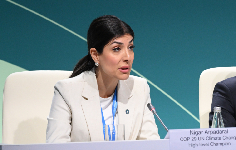Nigar Arpadarai: Ölkələri turizmi milli iqlim siyasətinə inteqrasiya etməyə çağırırıq