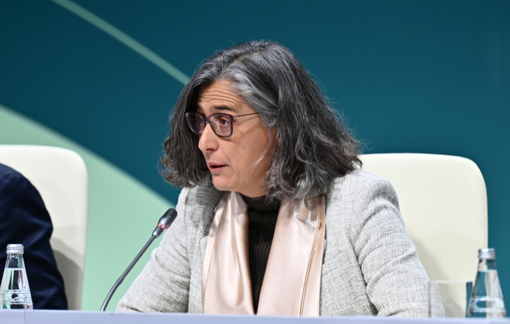 UN HABITAT: İyirmi ildən sonra 2,4 milyard insanın şəhərlərə köçəcəyi gözlənilir