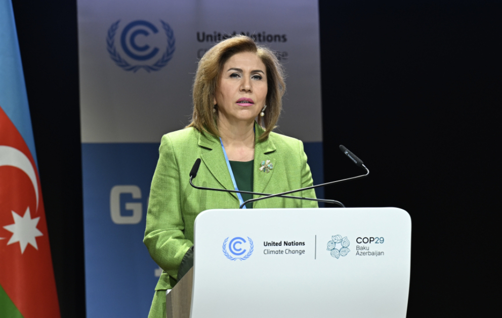Bahar Muradova: Səylərin birləşdirilməsi ekoloji problemlərdən minimal itkilərlə çıxmağın əsas şərtidir