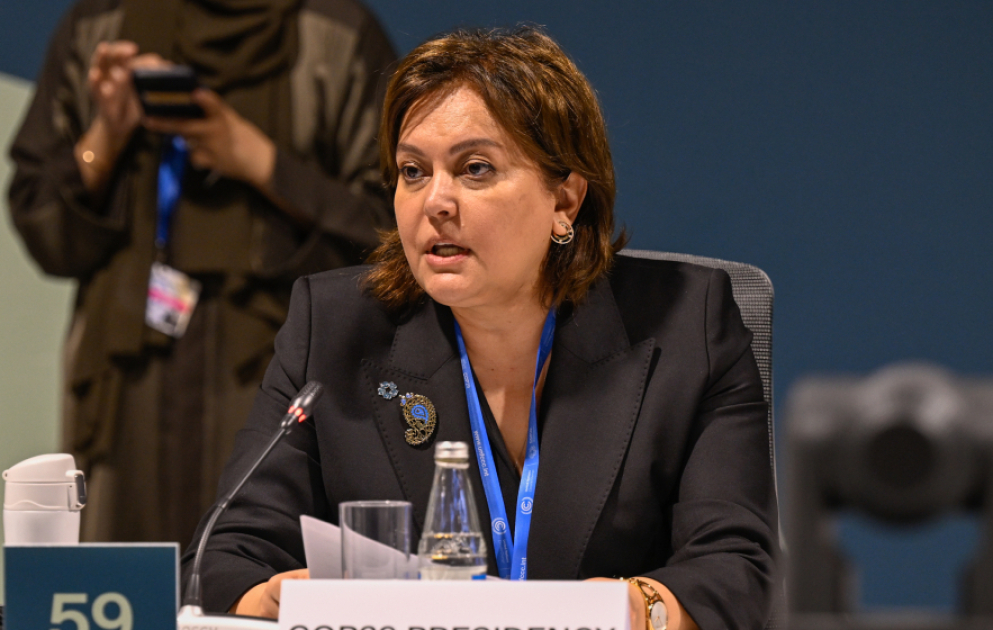 COP29 çərçivəsində Rio-Trio Təşəbbüsünə həsr olunmuş tədbir keçirilib