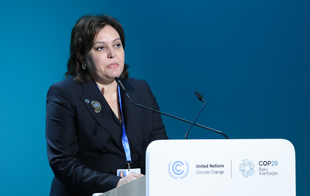 Umayra Tağıyeva: Meşələr üçün iqlim maliyyələşməsi səfərbər edilməlidir
