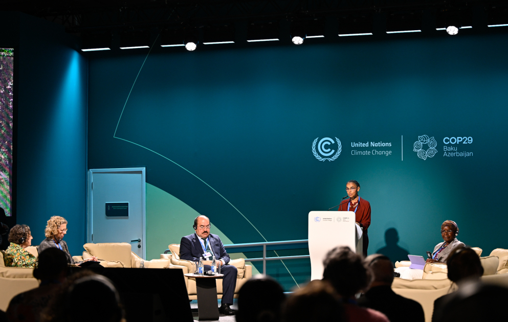 COP29-da meşələr üçün iqlim maliyyəsinin artırılması məsələsi müzakirə edilib