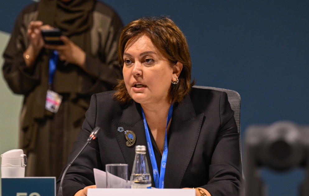 В рамках COP29 состоялось мероприятие, посвященное инициативе Рио-Трио