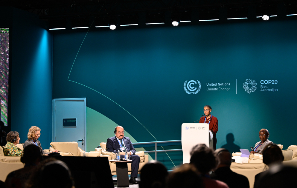 На COP29 обсуждался вопрос увеличения климатического финансирования лесов