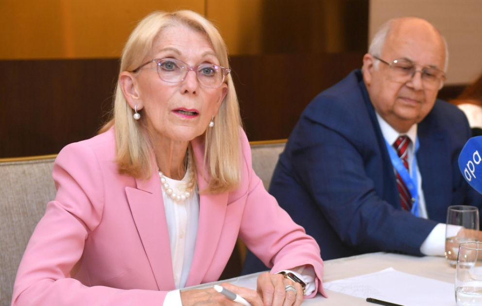 Cin Baderşnayder: Təzyiqlərə baxmayaraq, Azərbaycan COP29-u keçirməklə böyük bir addım atmış oldu