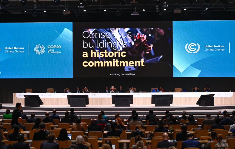 На COP29 определена новая климатическая цель