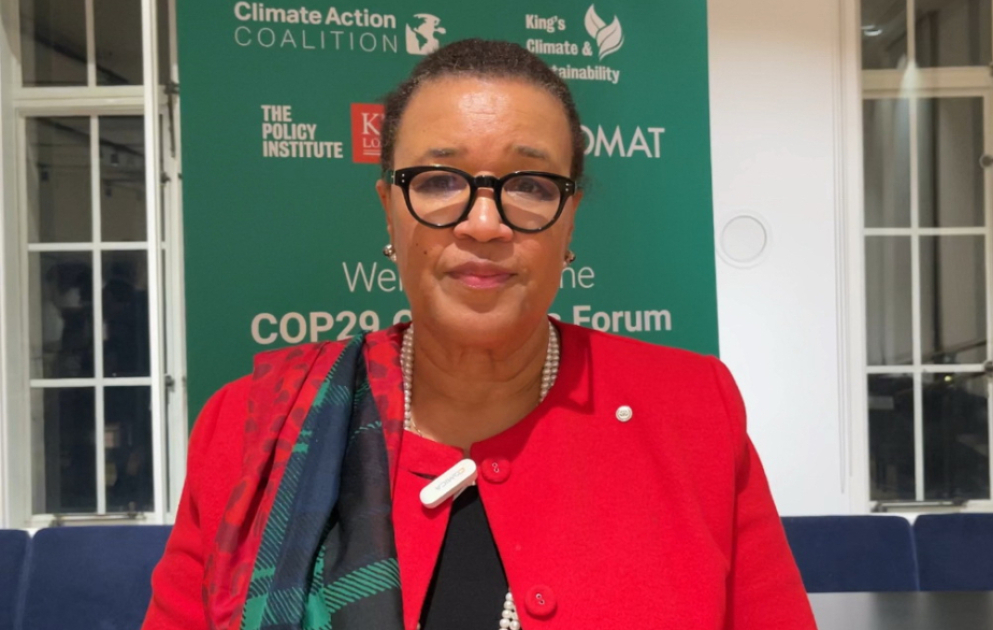 Баронесса Патрисия Скотланд: Мы добились значительного успеха на COP29