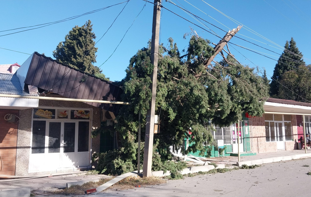 Güclü külək Göyçayda fəsadlar törədib, elektrik enerjisinin verilişi dayandırılıb