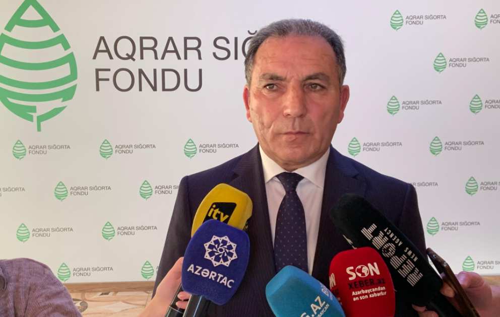 Kənd təsərrüfatı heyvanlarının sığorta haqqı azaldılıb
