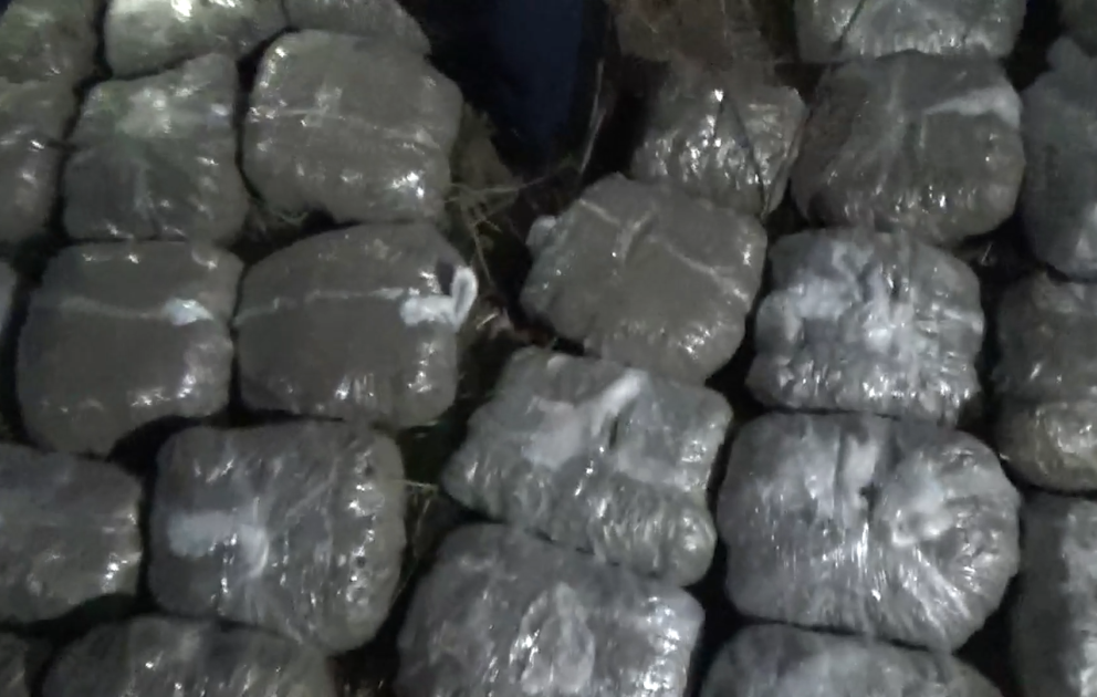 Yeni ilin ilk günündə 30 kiloqram narkotik vasitə aşkarlanıb