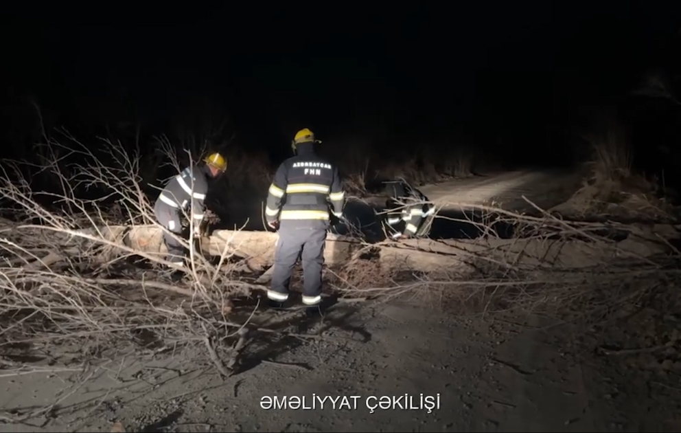 Ağacın aşması nəticəsində bağlanan Zəngilan-Mincivan magistral yolu FHN-in müdaxiləsi ilə açılıb