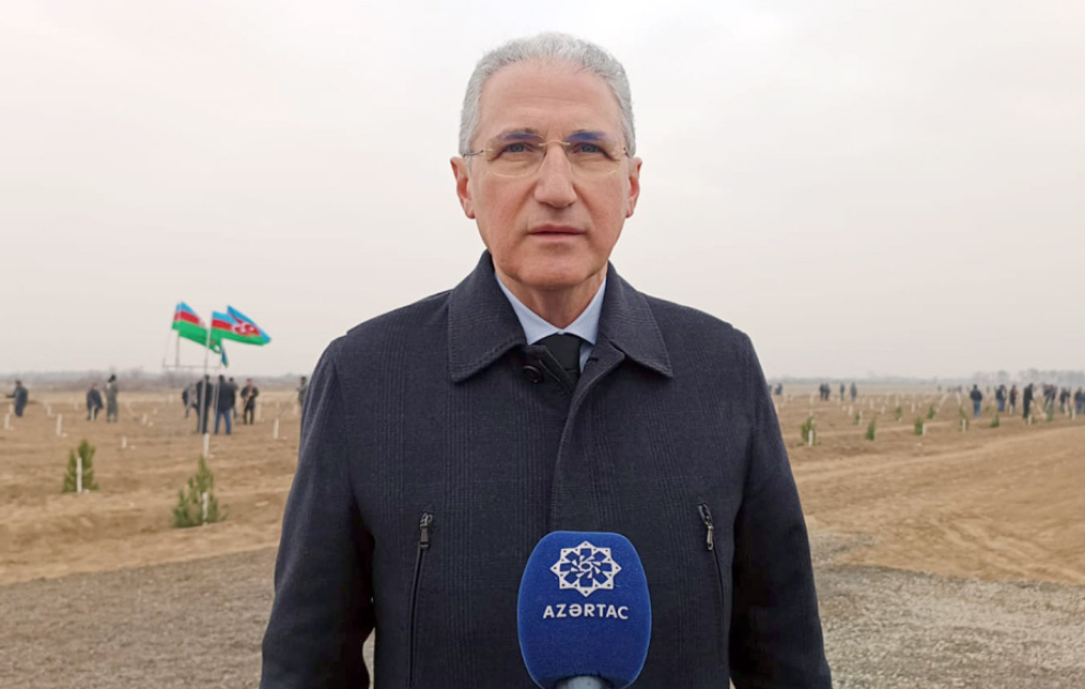 Muxtar Babayev: Ağacların qurumasının əsas səbəblərindən biri iqlim dəyişmələridir