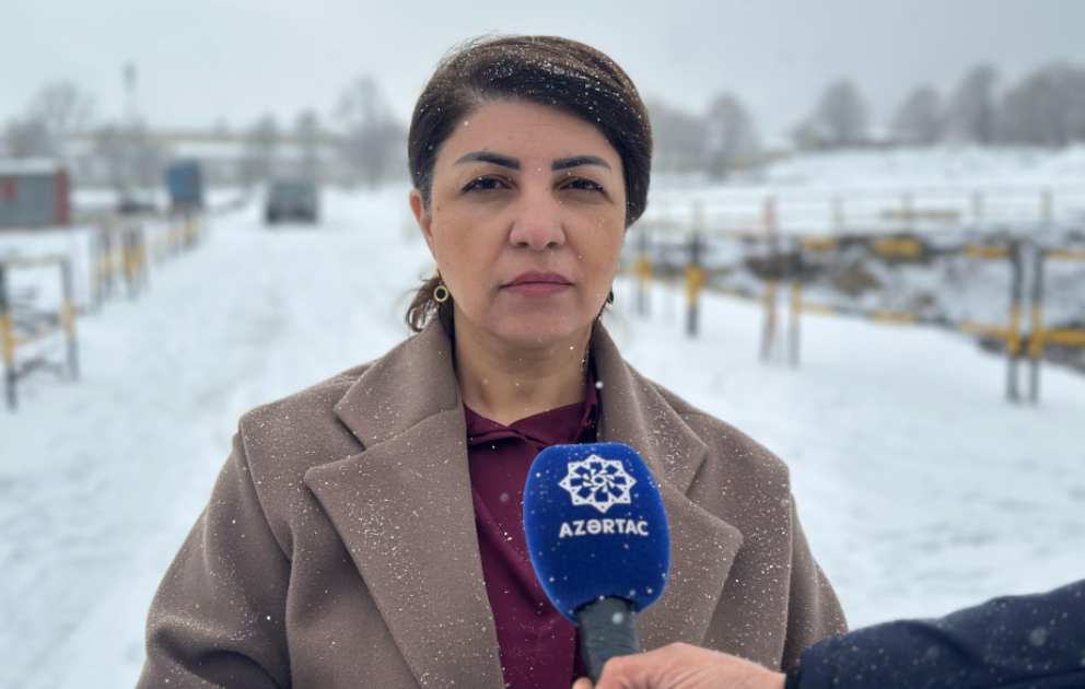 Xankəndi Zəfər parkının ərazisində planlaşdırma işləri görülür