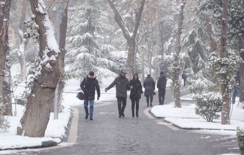 Bakıda və Abşeron yarımadasında gecə 5-8° şaxta olacaq