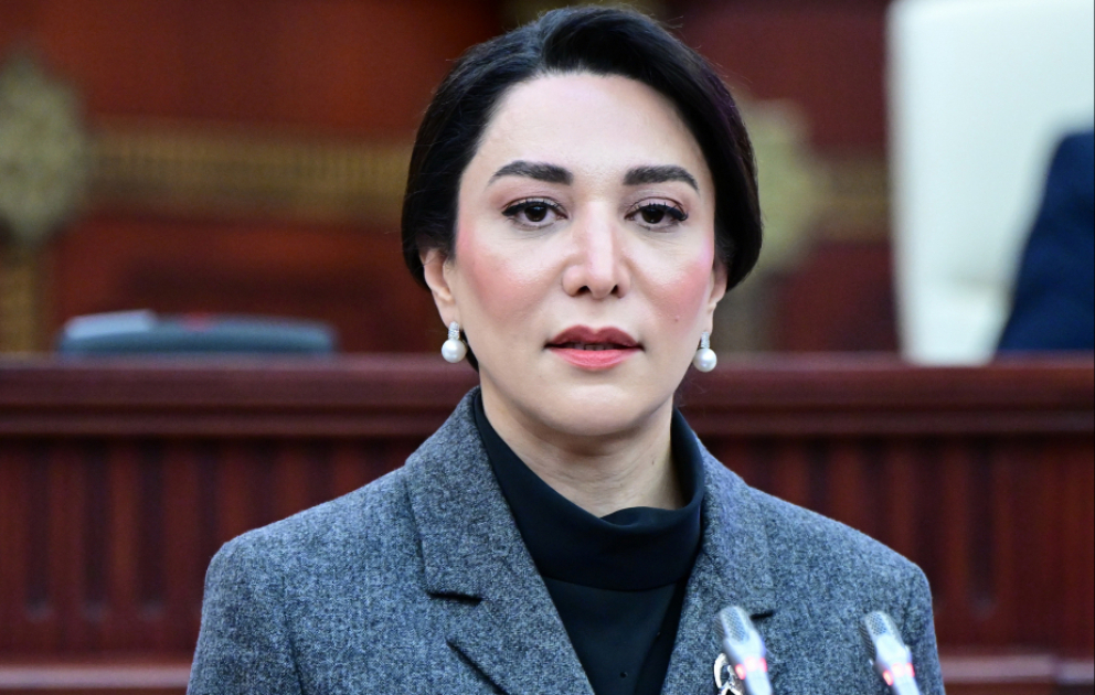 Ombudsman: İşaxtaran şəxslərin əmək müqaviləsi bağlanılmadan işə cəlbinə diqqət artırılmalıdır