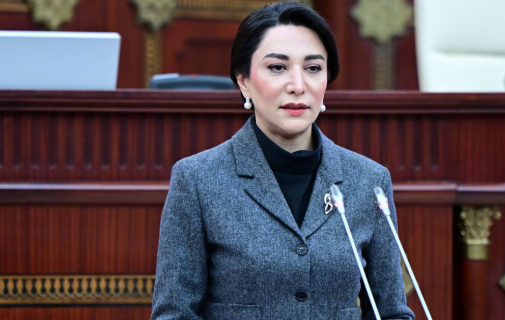 Müvəkkil: Ünvanlı sosial yardımın təminatı üçün qanuni müddət mühüm rol oynayır