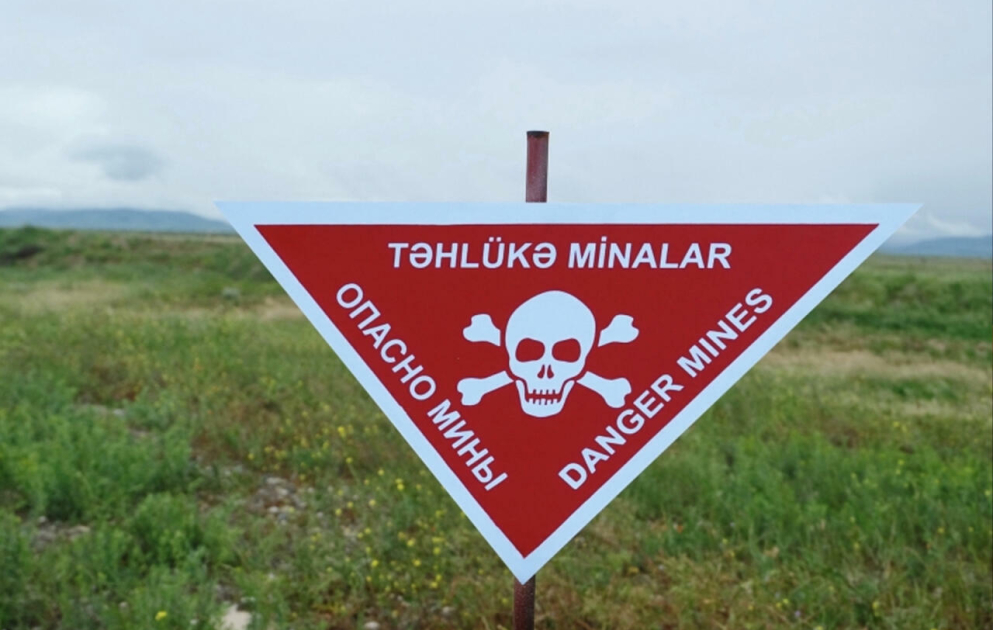 Minalarla mübarizə üçün beynəlxalq səylərin səfərbər edilməsi vacibdir
