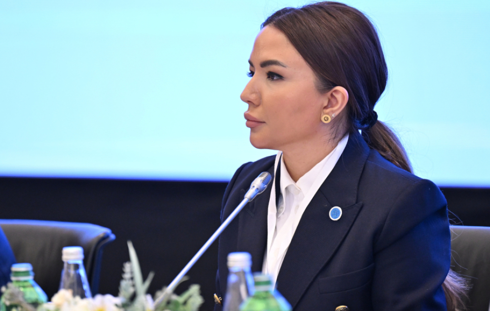 Aygün Əliyeva: Yerli QHT-lərin beynəlxalq layihələrdə fəal iştirakını sistemli şəkildə dəstəkləyirik