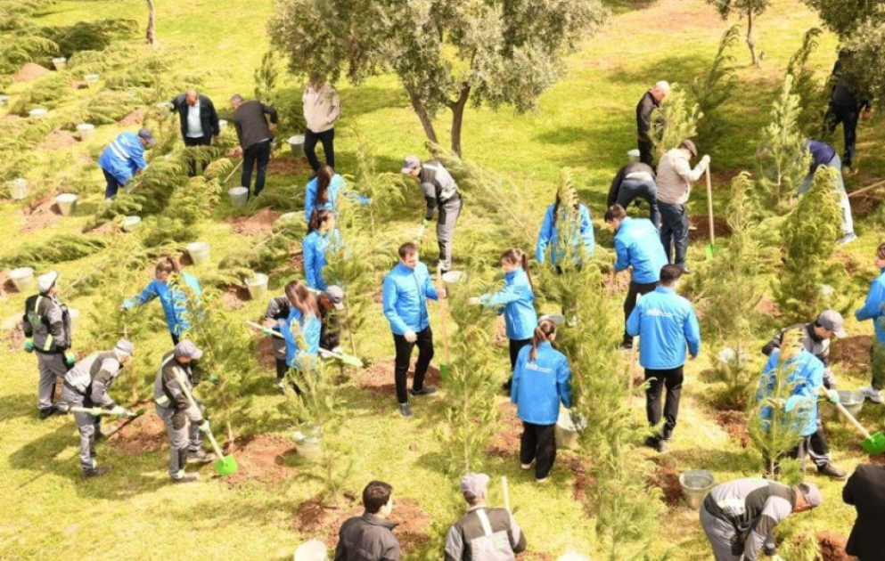 Paytaxtda keçirilən növbəti ağacəkmə aksiyasında 500 ağac əkilib
