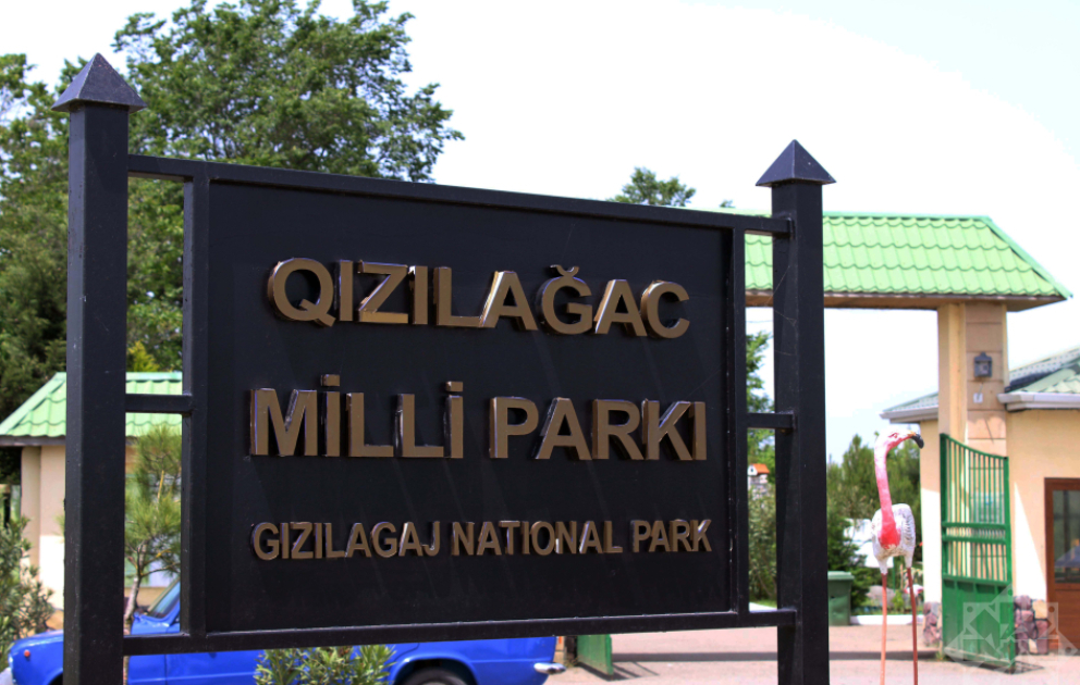 Qızılağac Milli Parkı – Azərbaycanın ən böyük su-bataqlıq ərazisidir