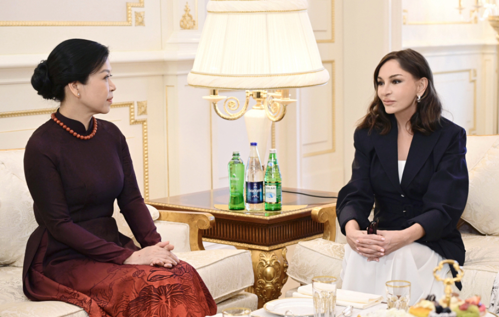 Entretien de la première dame d’Azerbaïdjan avec l’épouse du secrétaire général du Comité central du Parti communiste vietnamien
