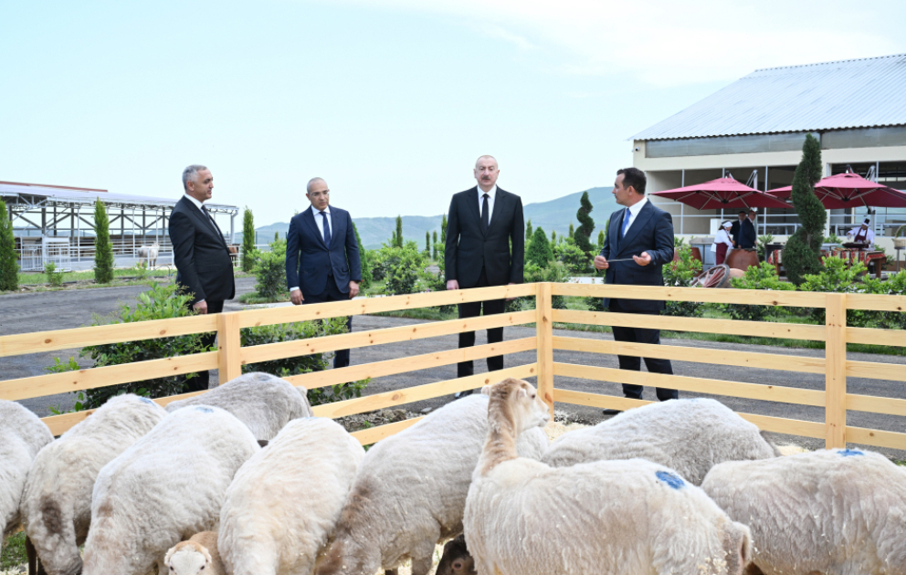 Im Dorf Khanabad in Chodschali Tierzuchtbetrieb eingeweiht