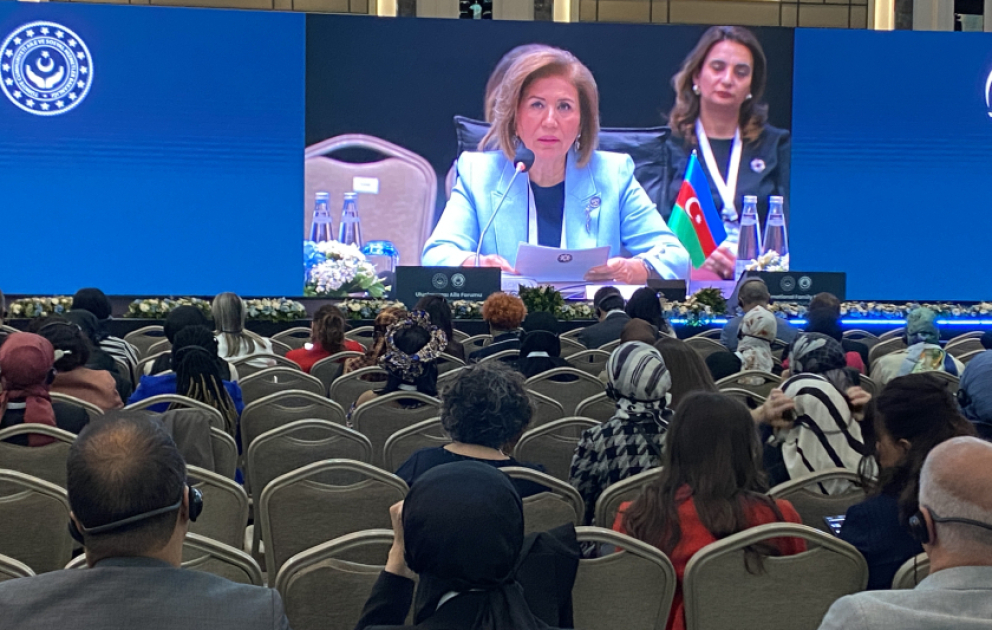 İstanbulda “Qloballaşan dünyada ailənin qorunması və gücləndirilməsi” mövzusunda Beynəlxalq Ailə Forumu keçirilir