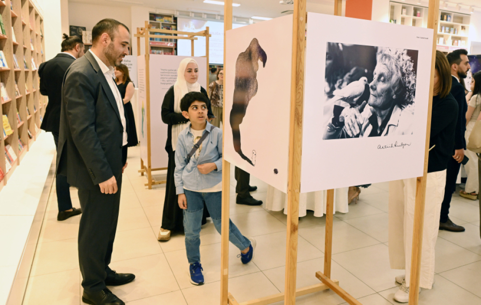 Bakıda “Zorakılığa yox” adlı sərgi açılıb