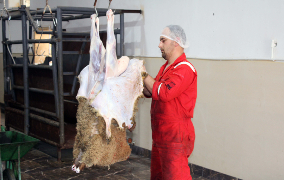 Qurban bayramı ilə əlaqədar Lənkəranda da xüsusi ət kəsimi məntəqəsi fəaliyyət göstərir