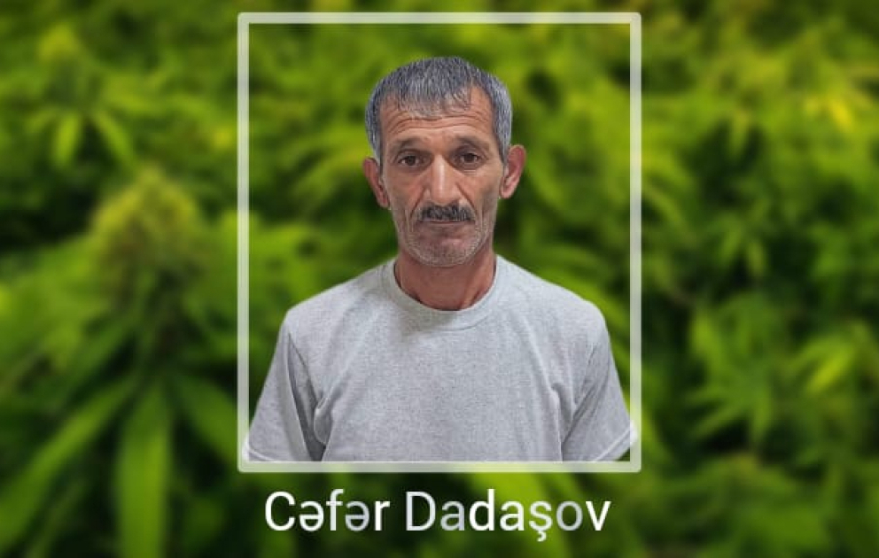 Yaşadığı evin həyətində narkotik tərkibli bitkilər yetişdirən şəxs saxlanılıb