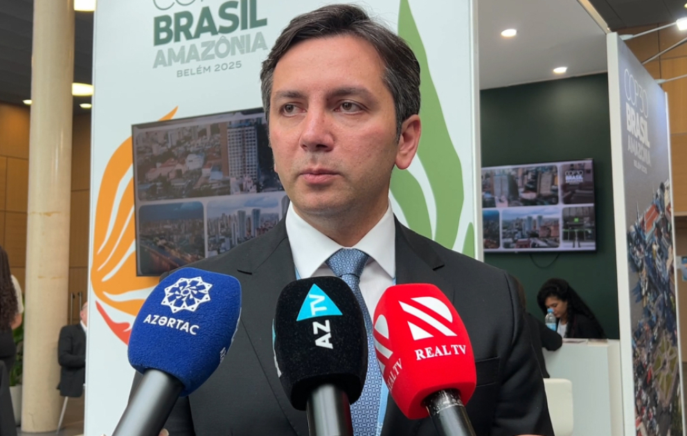 Ялчин Рафиев: Председательство COP29 проведет в Бонне 7 мероприятий