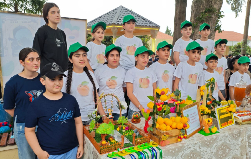 Samuxda ərik festivalı təşkil olunub