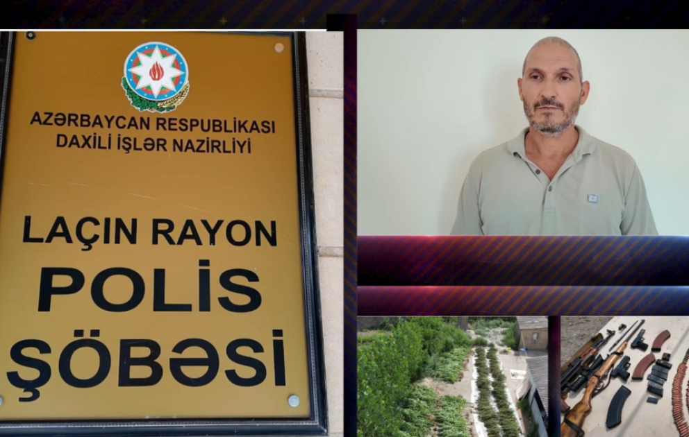 Laçın Rayon Polis Şöbəsindən əməliyyat tədbiri: 300-ə yaxın çətənə bitkisi və silah-sursat aşkarlanıb