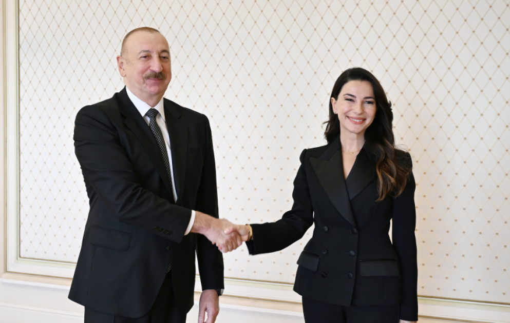 President of Azerbaijan Ilham Aliyev received Georgia’s Minister of Economy and Sustainable Development