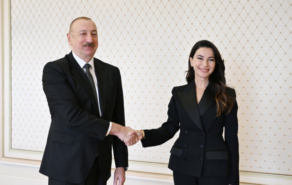 Präsident Ilham Aliyev empfängt georgische Ministerin für Wirtschaft und nachhaltige Entwicklung