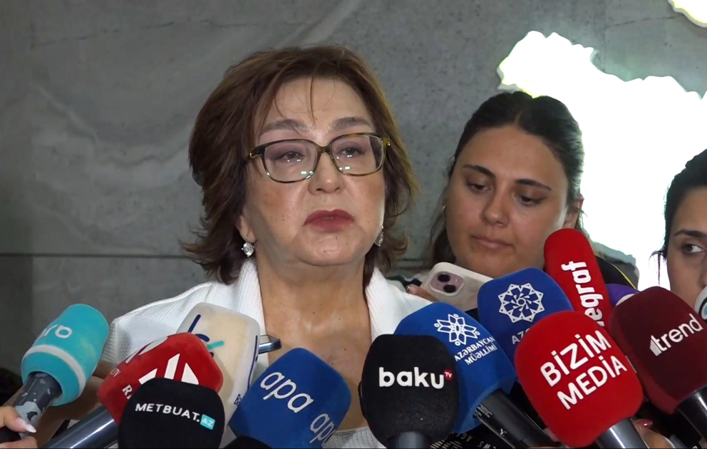 DİM sədri: İlin sonuna qədər 22 məlumat toplusu ictimaiyyətə təqdim olunacaq