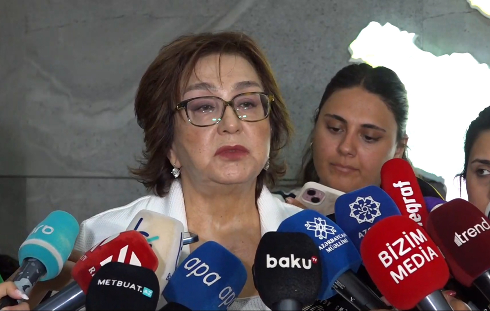 Məleykə Abbaszadə: İl ərzində 12 mövzu üzrə ictimai müzakirə aparılacaq