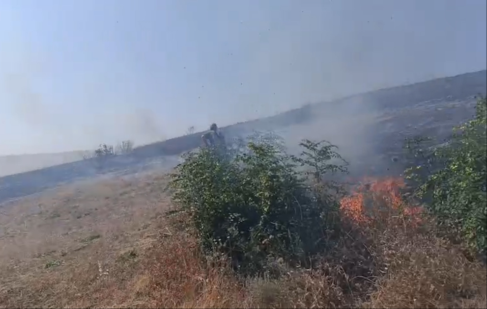 Şabranda biçilmiş əkin sahələrində yanğın başlayıb
