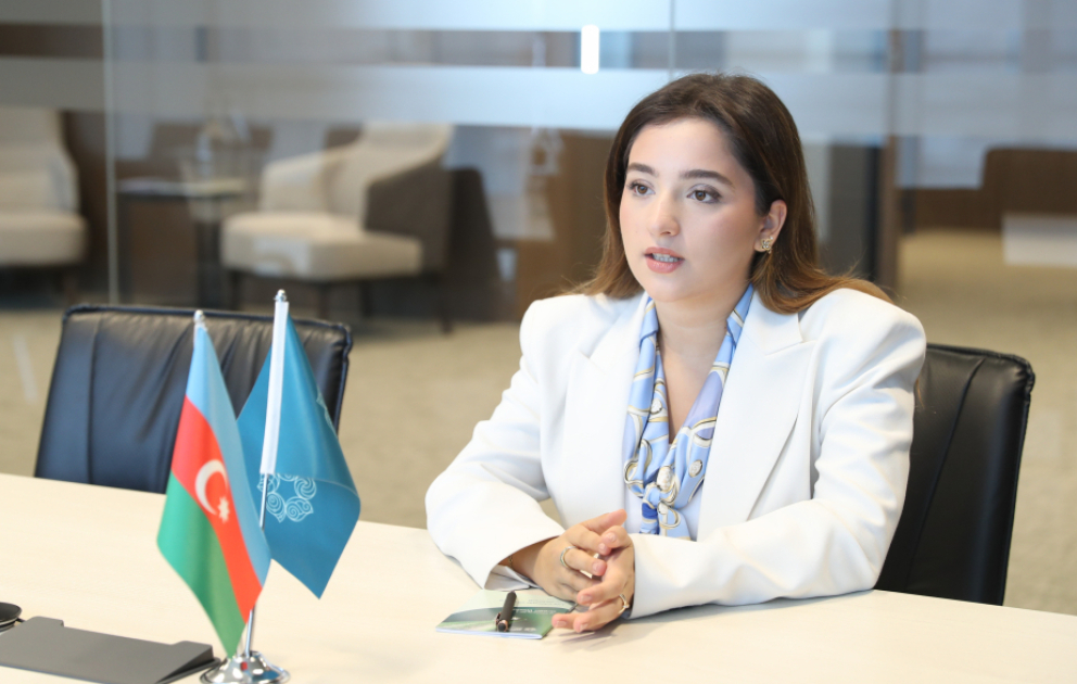 Azərbaycan gəncləri qlobal iqlim platformalarında: yüksələn fəallıq və yeni imkanlar