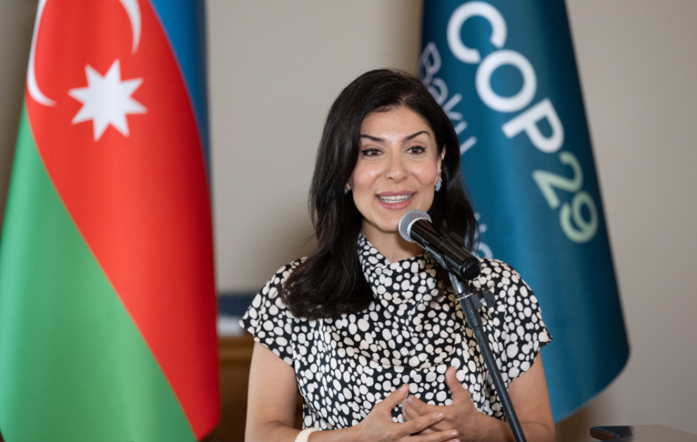 Nigar Arpadarai: Yaşıl keçid yalnız çətinliklər deyil, həm də yeni imkanlar gətirir