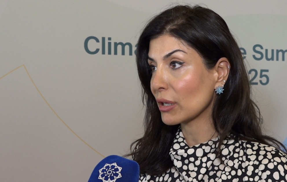 Nigar Arpadarai: Bakı İqlim Fəaliyyəti Həftəsində regiona dair müxtəlif mövzular müzakirə olunacaq