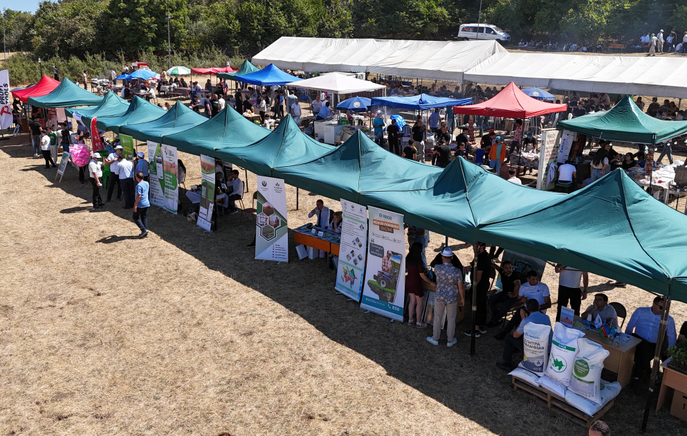 Göygöldə II Moruq Festivalı keçirilir
