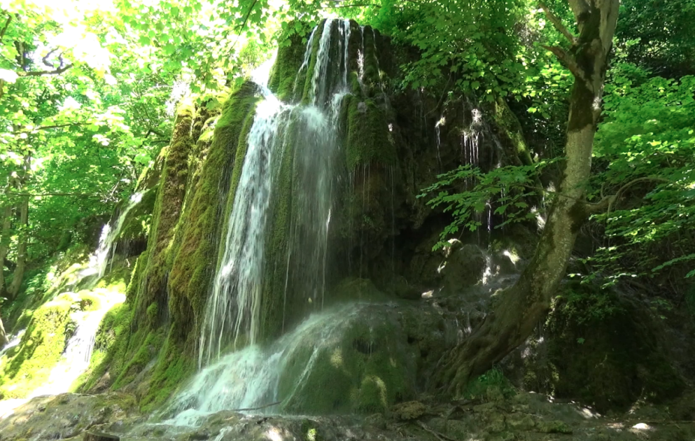 Qayalıqda yaşıl xalı - Mamırlı şəlalə