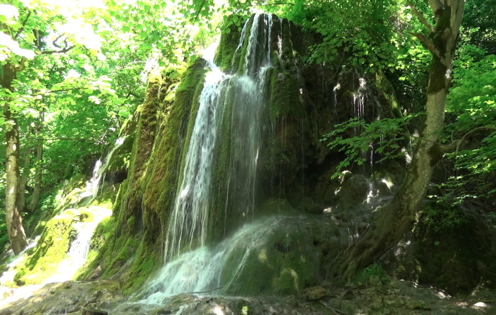 Green carpet covering rocks – Mamirli waterfall