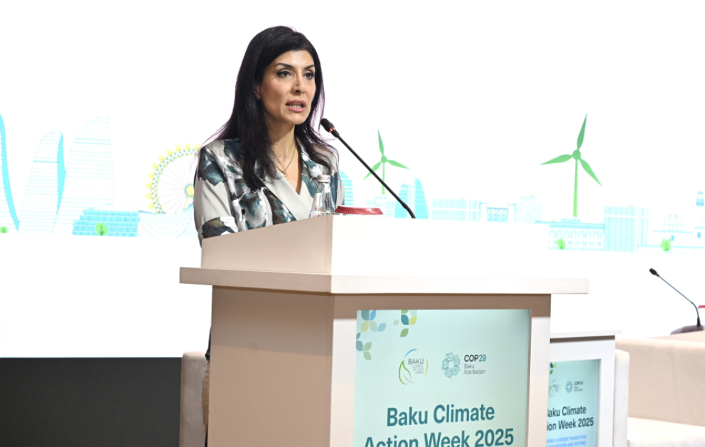 Nigar Arpadarai: Regional əməkdaşlıq ədalətli və dayanıqlı yaşıl enerji keçidinin əsas şərtidir