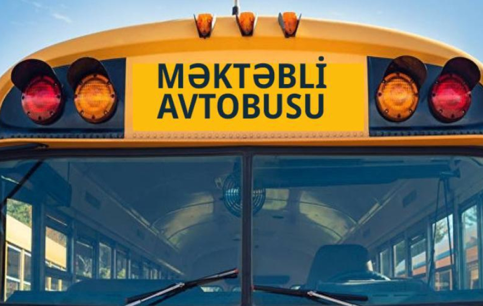Каковы преимущества школьных автобусов?