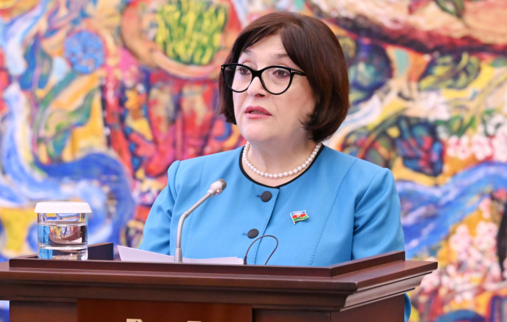 Sahibə Qafarova: Xorvatiya ilə minatəmizləmə sahələrində əməkdaşlıq xüsusi əhəmiyyət daşıyır
