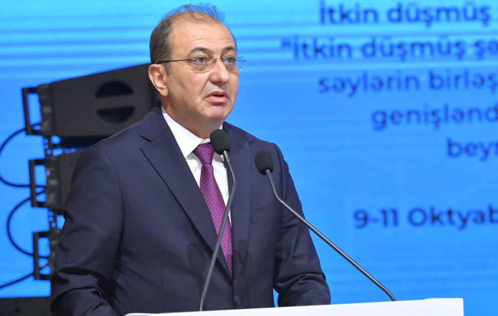 İtkin düşmüş şəxslərlə bağlı problemə həsr olunan konfrans beynəlxalq səyləri artırmaq və əməkdaşlığı gücləndirmək baxımından önəmlidir