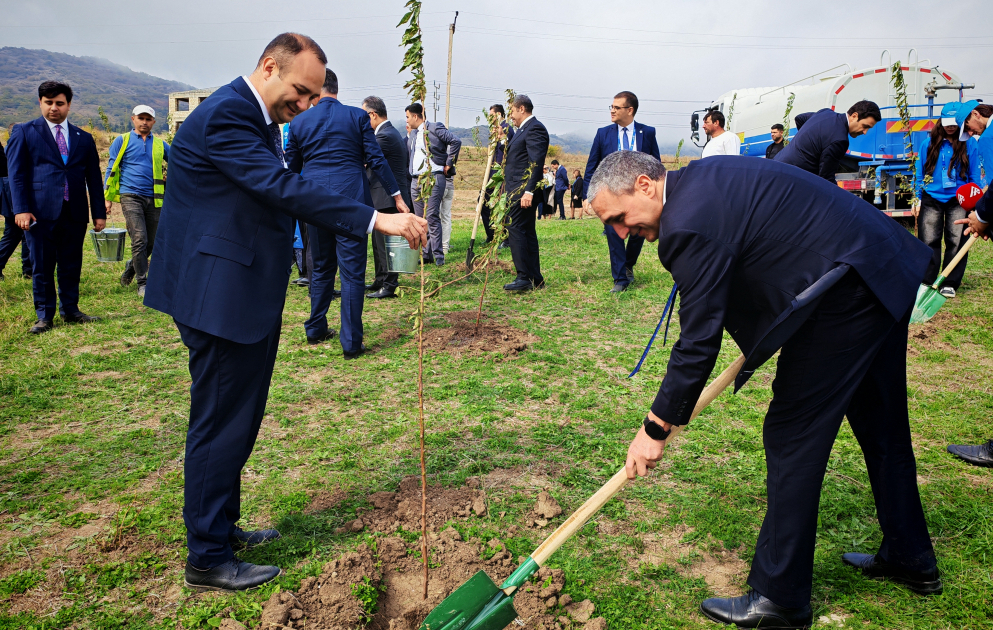Xocalıda ağacəkmə aksiyası keçirilib